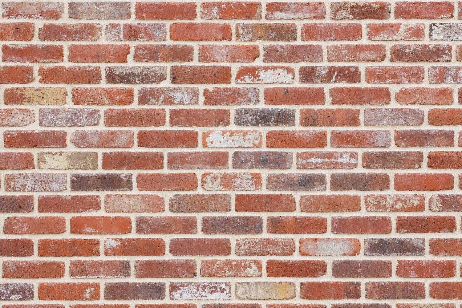 Reclaimed White Mortar